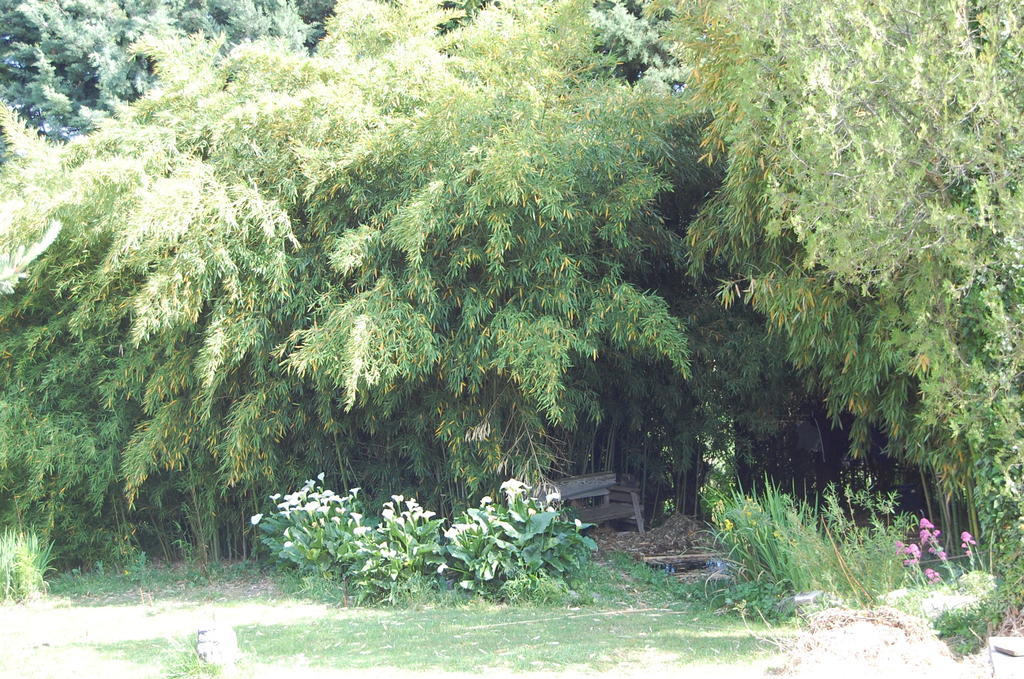 Gîte Le Gré Chantemerle-lès-Grignan Esterno foto