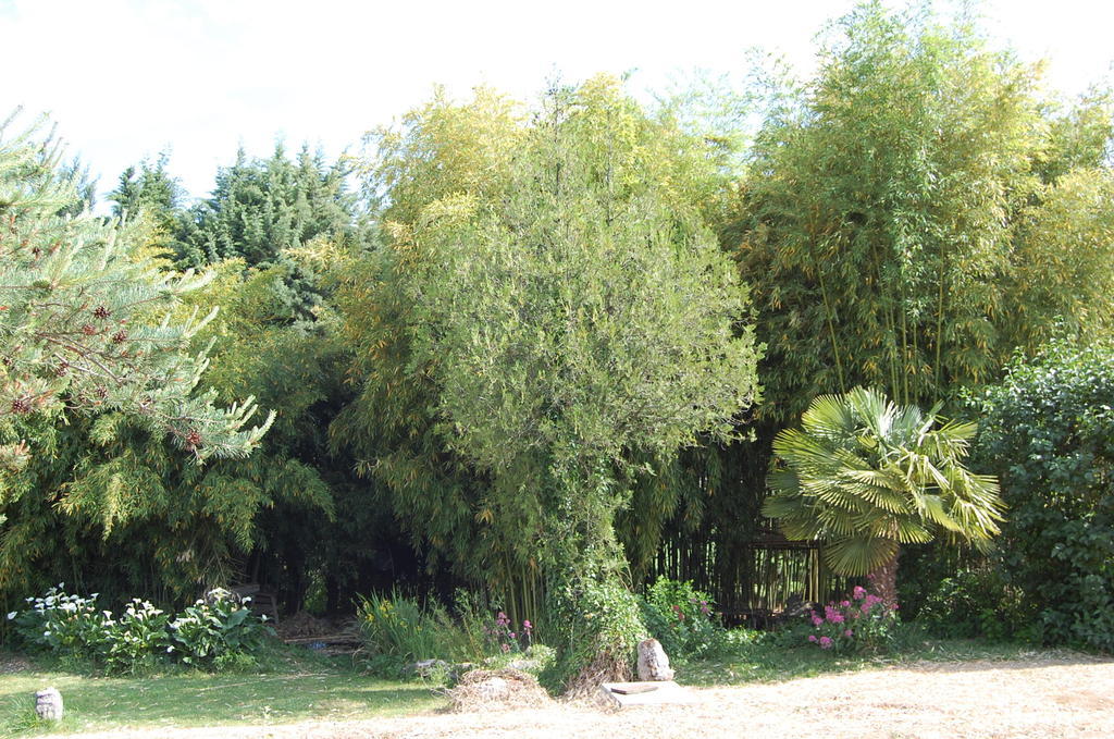 Gîte Le Gré Chantemerle-lès-Grignan Esterno foto