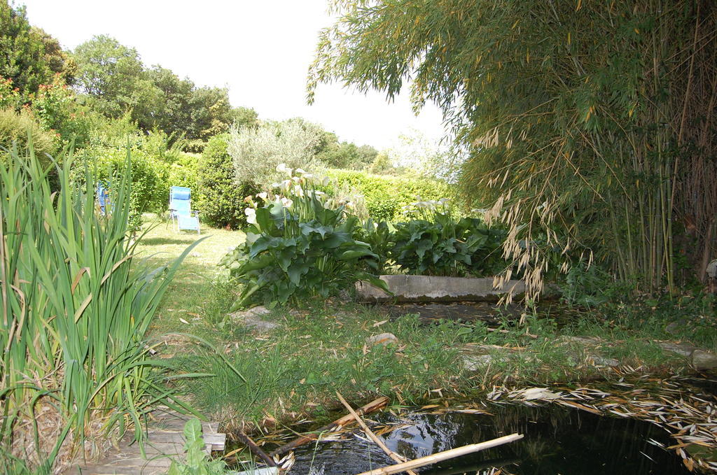 Gîte Le Gré Chantemerle-lès-Grignan Esterno foto