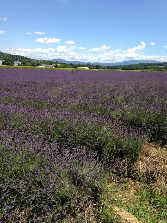 Gîte Le Gré Chantemerle-lès-Grignan Esterno foto